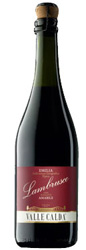 Lambrusco Amabile Bottle